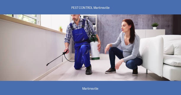 PEST CONTROL Martinsville